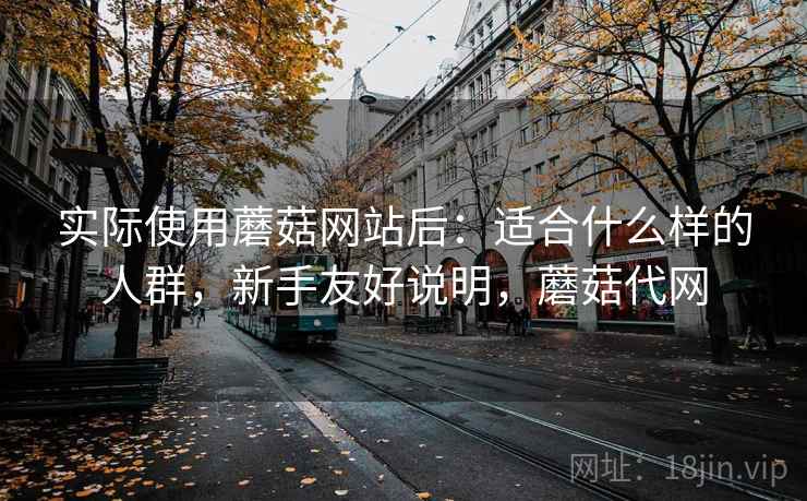 实际使用蘑菇网站后：适合什么样的人群，新手友好说明，蘑菇代网  第2张