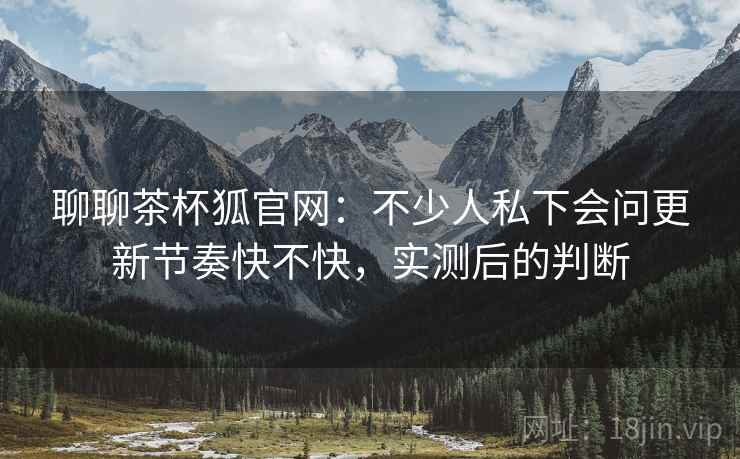 聊聊茶杯狐官网：不少人私下会问更新节奏快不快，实测后的判断