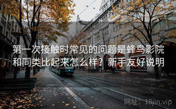 第一次接触时常见的问题是蜂鸟影院和同类比起来怎么样？新手友好说明  第2张