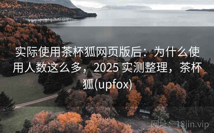 实际使用茶杯狐网页版后：为什么使用人数这么多，2025 实测整理，茶杯狐(upfox)
