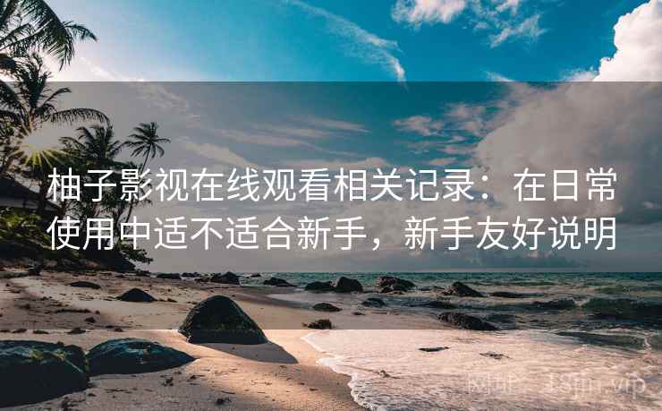 柚子影视在线观看相关记录:在日常使用中适不适合新手,新手友好说明