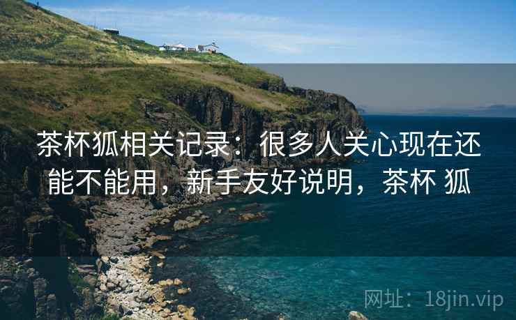 茶杯狐相关记录:很多人关心现在还能不能用,新手友好说明,茶杯 狐
